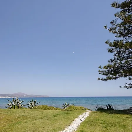 Adelphes Beachfront With Direct Connection To The *